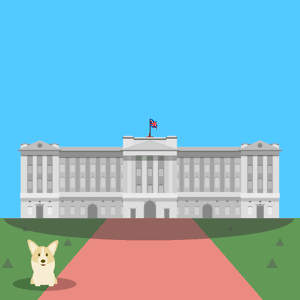 iDEA Corgi iDEA Corgi